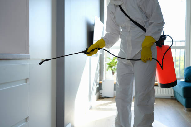 Mold Odor Removal Services in Mountainside, NJ